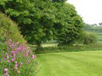 Ascroft Farm - Woolsery-Nr Bideford