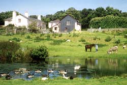 Knowle Farm- heated indoor pool