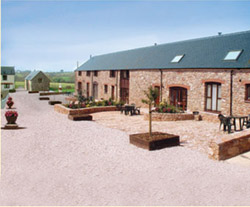 9 high quality cottages