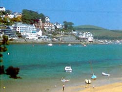 south devon hotels