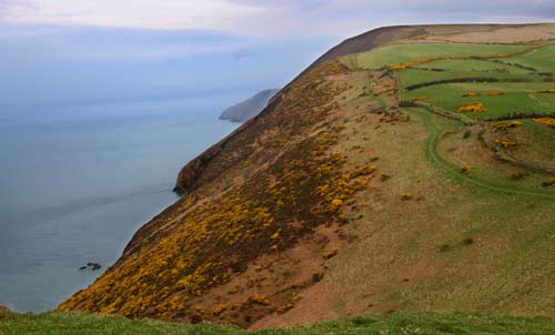 Exmoor nr Combe Martin
