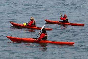 Eating fish and chips at Appledore