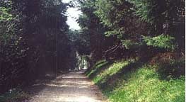 devon holiday cottages